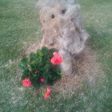 Turistici Aprile Luca アパート *